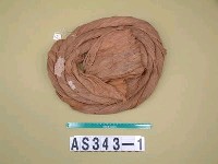 藏品(樹皮布捲)的圖片